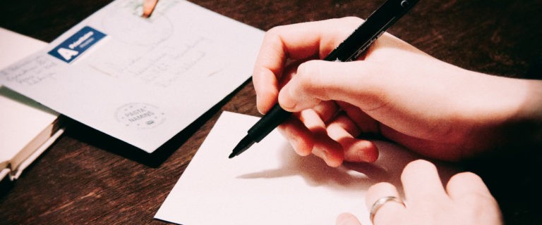 newsletter WordPress