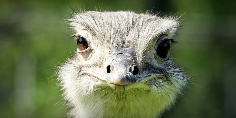tworzenie stron w WordPressie - jak zacząć biznes