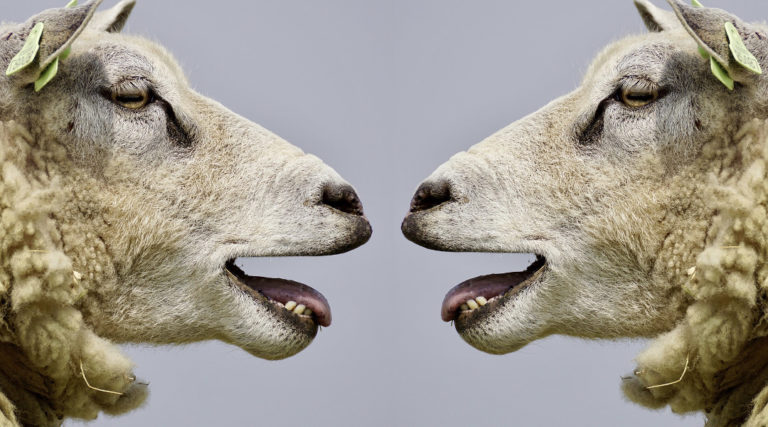 10 błędów jakie popełniasz w WordPressie