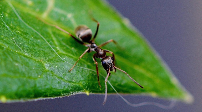 promocja na Facebooku