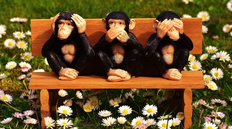 Responsywna, czyli jaka? Cała prawda o responsywności!