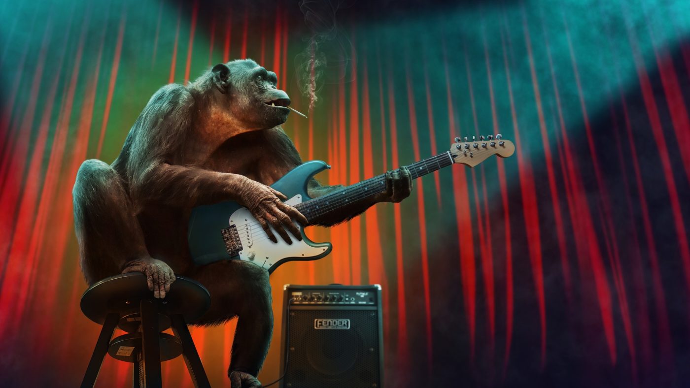 goryl z papierosem w pyszczku grający na gitarze