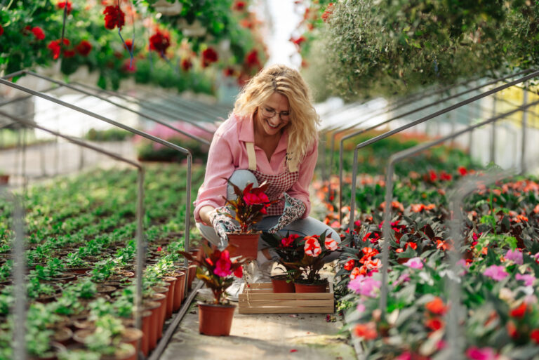 7 kluczowych powodów oddania strony pod dobrą opiekę